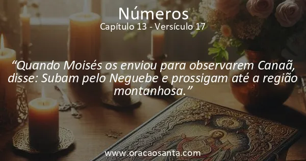 Números 13:17
