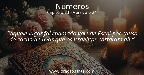 Números 13:24