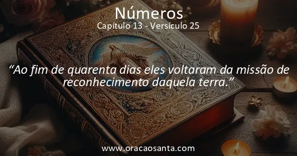 Números 13:25