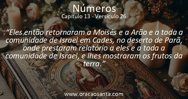 Números 13:26