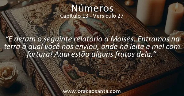Números 13:27