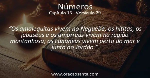 Números 13:29