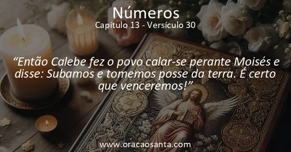 Números 13:30