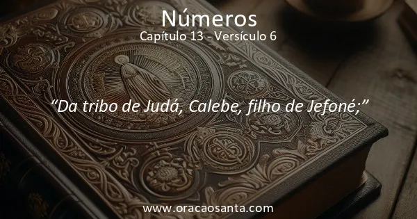 Números 13:6