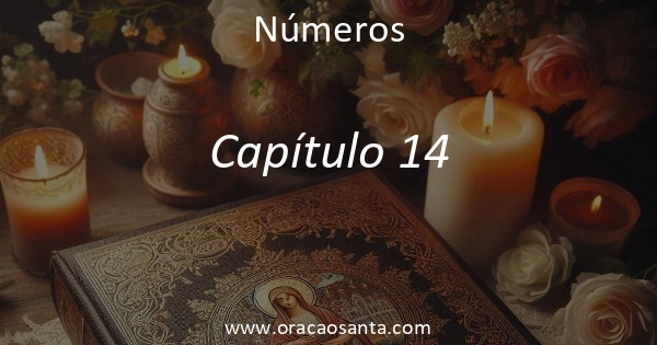 Números 14