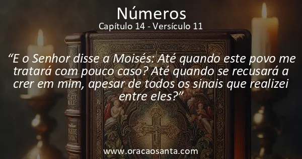 Números 14:11