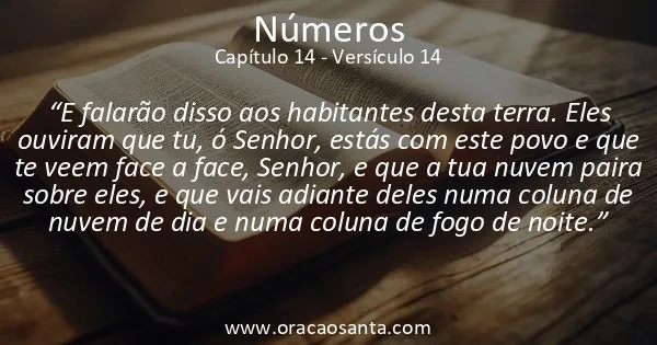 Números 14:14