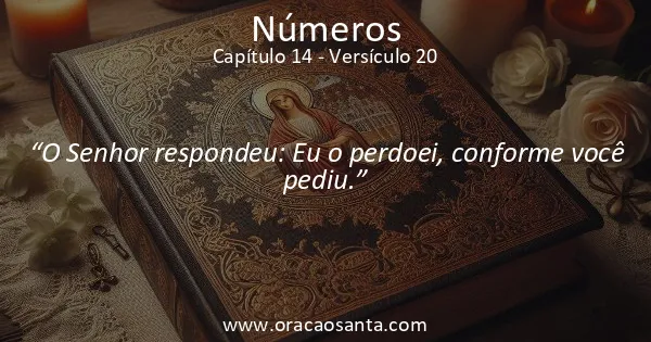 Números 14:20