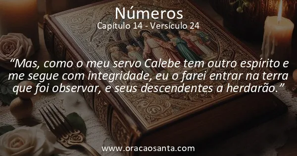 Números 14:24