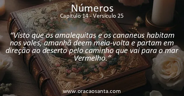 Números 14:25