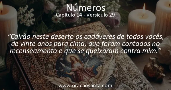 Números 14:29