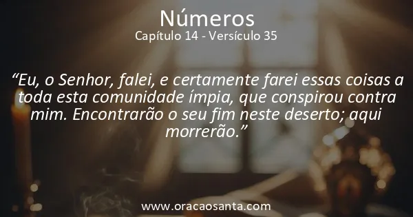 Números 14:35