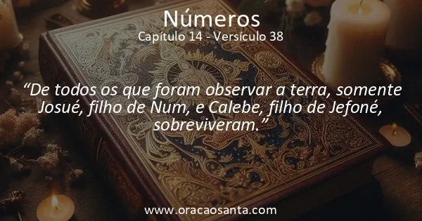 Números 14:38