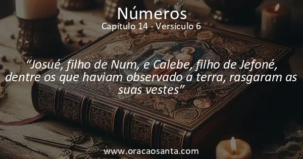 Números 14:6