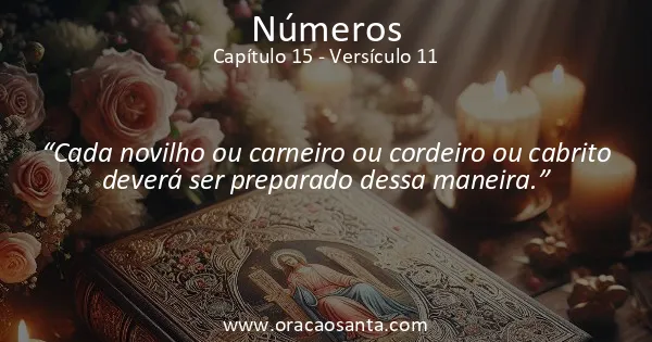 Números 15:11