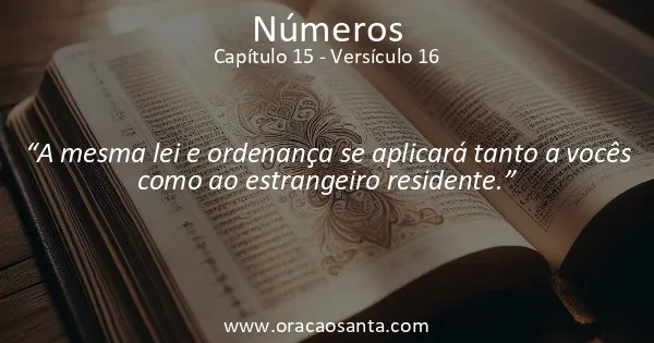 Números 15:16