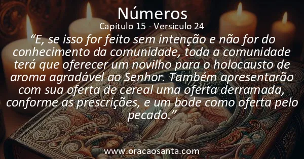 Números 15:24