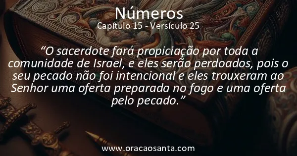 Números 15:25
