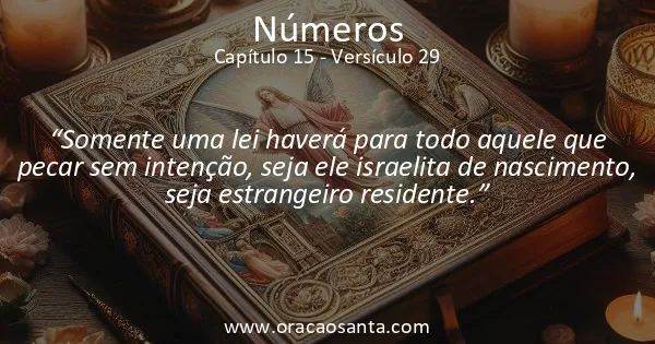 Números 15:29