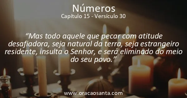 Números 15:30