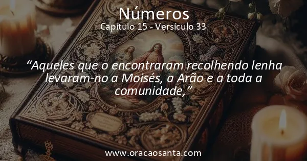 Números 15:33
