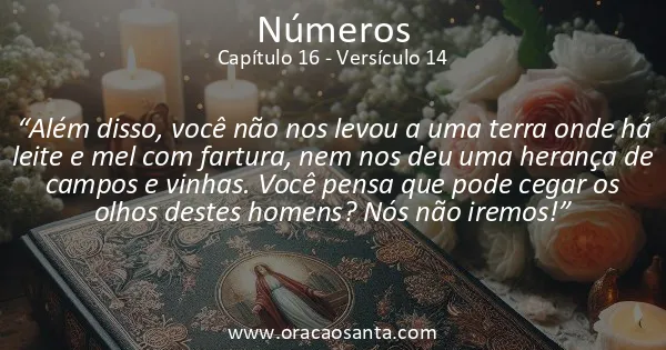 Números 16:14