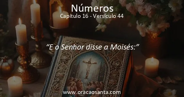 Números 16:44
