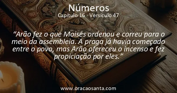 Números 16:47