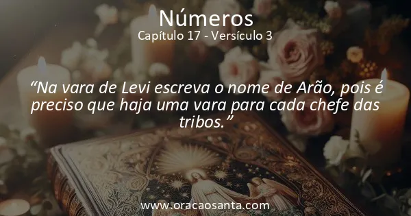 Números 17:3