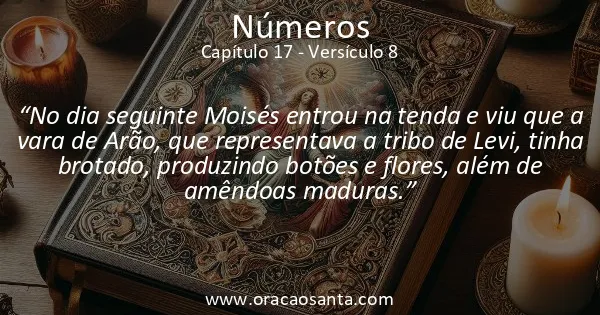 Números 17:8