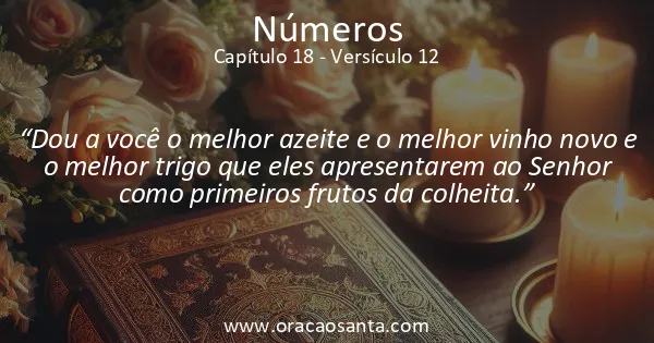 Números 18:12