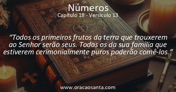 Números 18:13