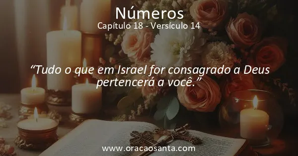 Números 18:14