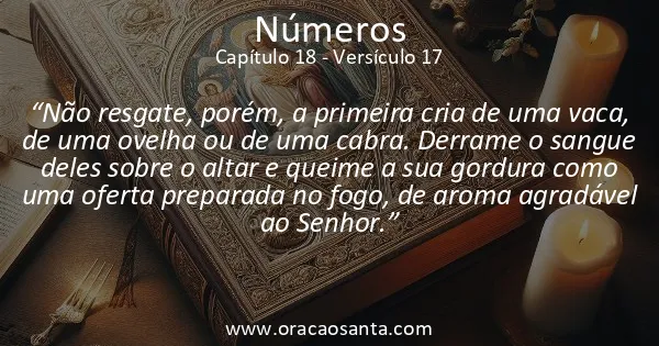 Números 18:17