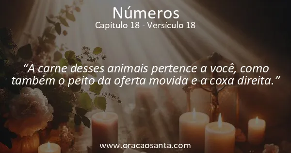 Números 18:18