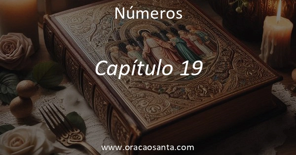 Números 19