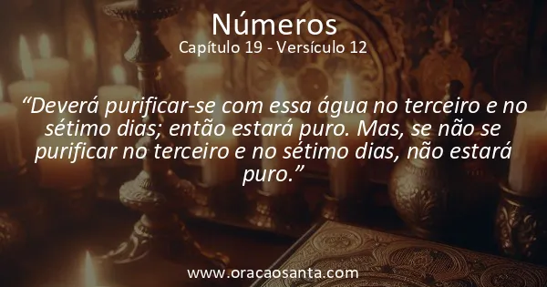 Números 19:12