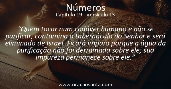 Números 19:13