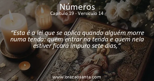 Números 19:14