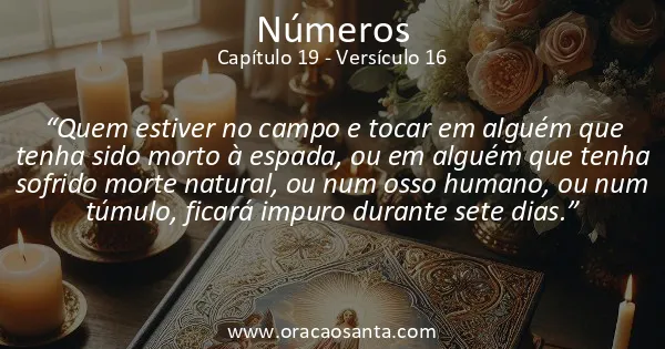 Números 19:16