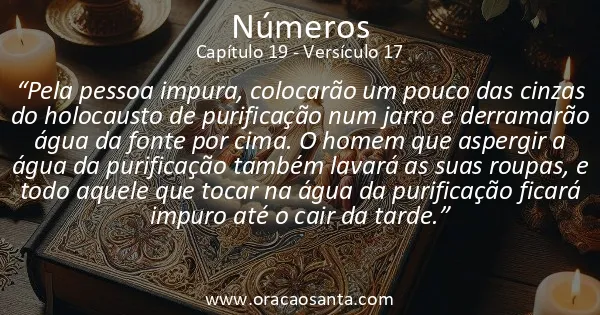 Números 19:17