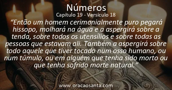 Números 19:18
