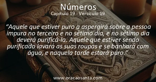 Números 19:19