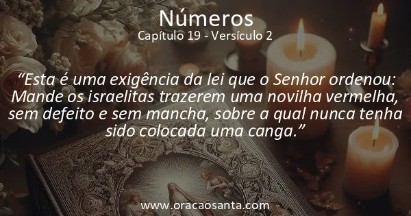Números 19:2