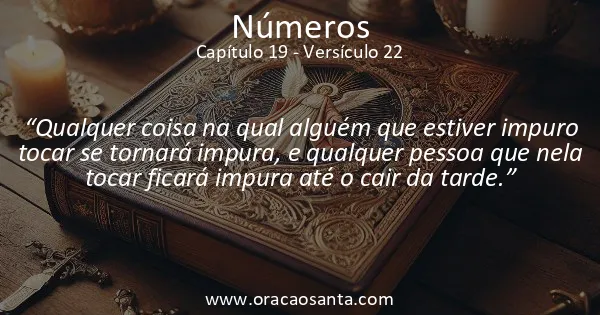 Números 19:22
