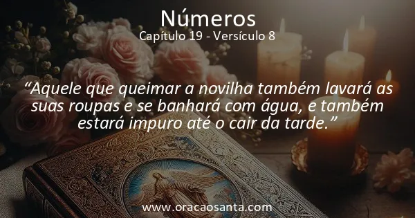 Números 19:8