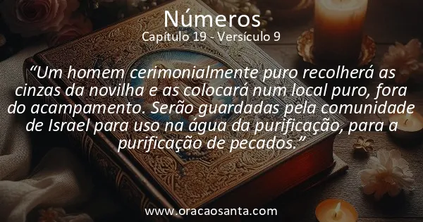 Números 19:9