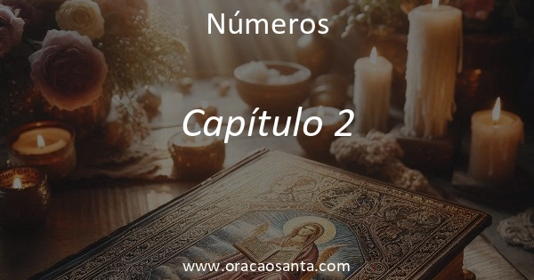 Números 2