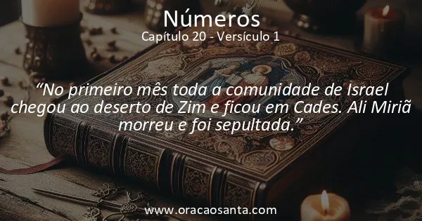 Números 20:1