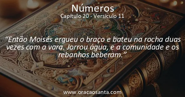 Números 20:11